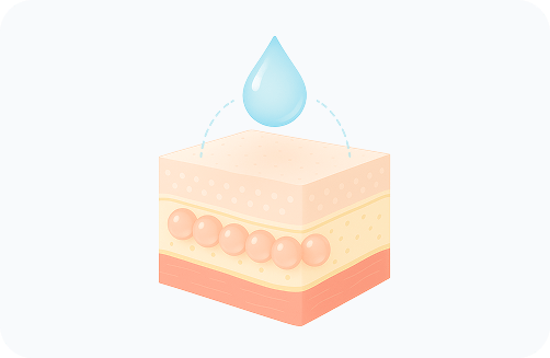 Mechanism of Lilied M increasing dermal proteins to draw moisture and strengthen the skin moisture barrier at Lijin Clinic.